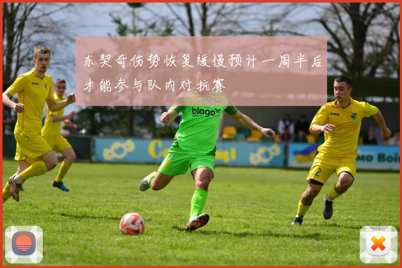 东契奇伤势恢复缓慢预计一周半后才能参与队内对抗赛