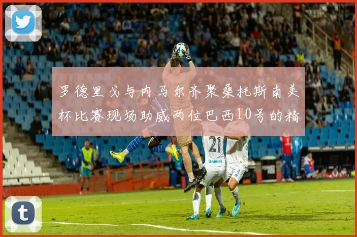 罗德里戈与内马尔齐聚桑托斯南美杯比赛现场助威两位巴西10号的精彩时刻